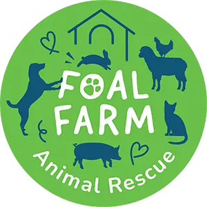 Foal Farm