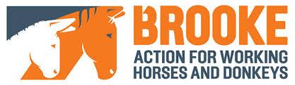 The Brooke (Action For Working Horses and Donkeys)