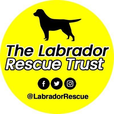 Labrador Rescue Trust